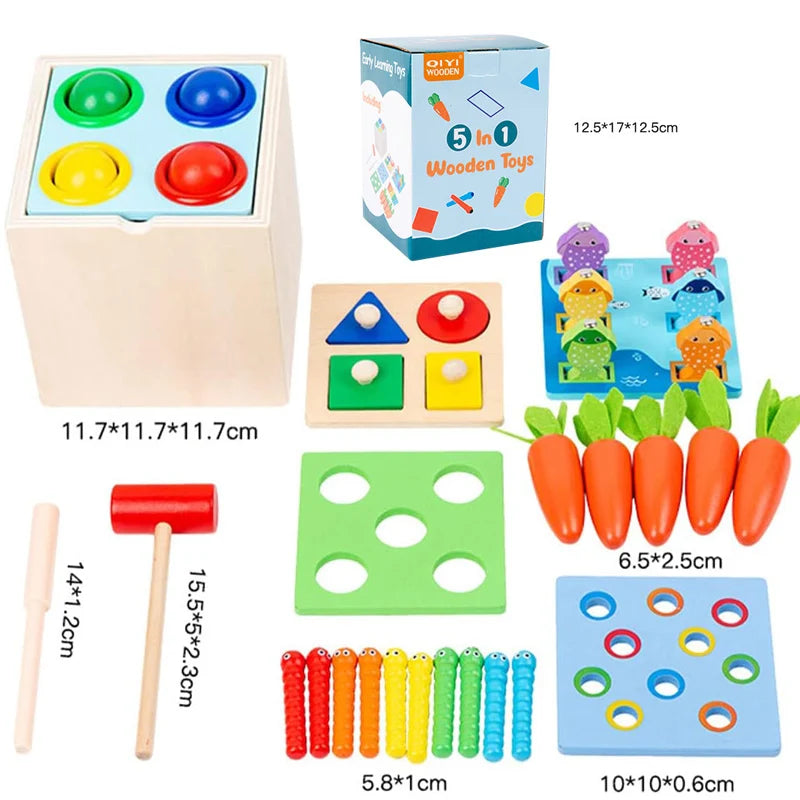 Kit di giochi Montessori in legno – Include scatola della permanenza dell’oggetto, carote, monete, forme da inserire e palline da far cadere. Ideale per lo sviluppo precoce dei bambini piccoli.