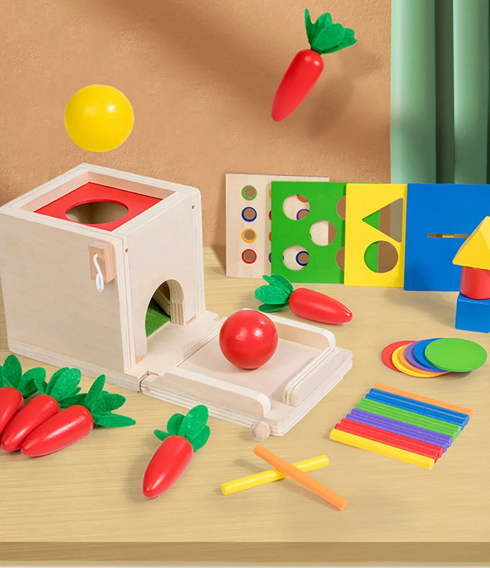Kit di giochi Montessori in legno – Include scatola della permanenza dell’oggetto, carote, monete, forme da inserire e palline da far cadere. Ideale per lo sviluppo precoce dei bambini piccoli.