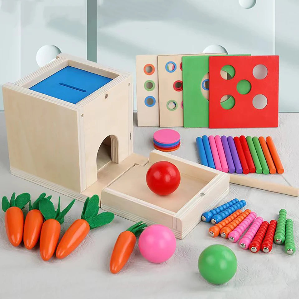 Kit di giochi Montessori in legno – Include scatola della permanenza dell’oggetto, carote, monete, forme da inserire e palline da far cadere. Ideale per lo sviluppo precoce dei bambini piccoli.