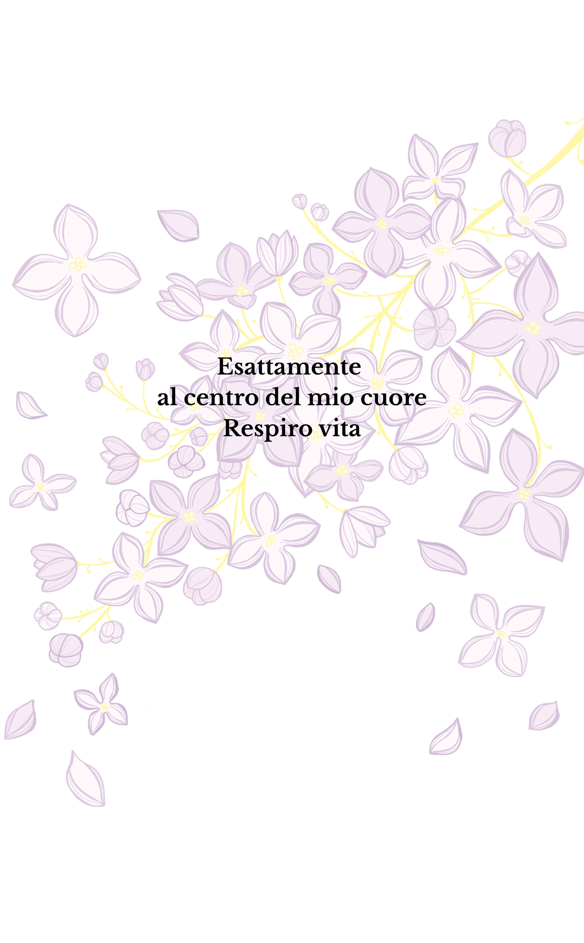 Stefanai Peverati - HAIKU DAL CUORE [pre - order]